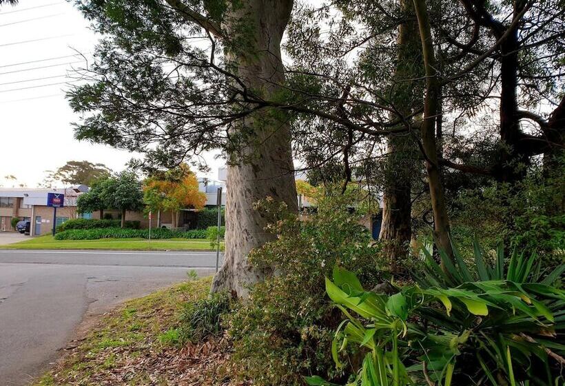 מוטל Bay & Basin