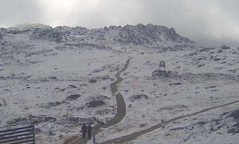 모텔 Kookaburra Lodge