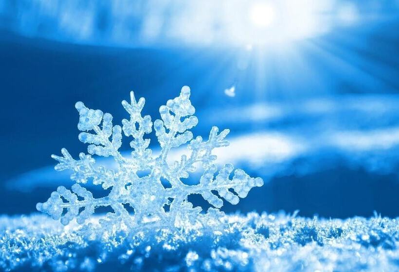 모텔 Kookaburra Lodge