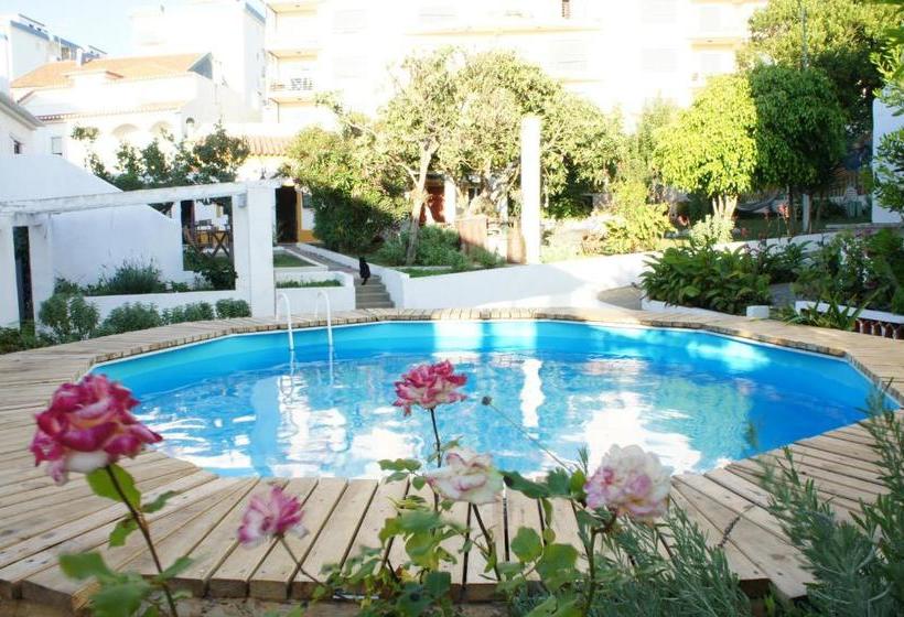 هاستل Olive3 Ericeira