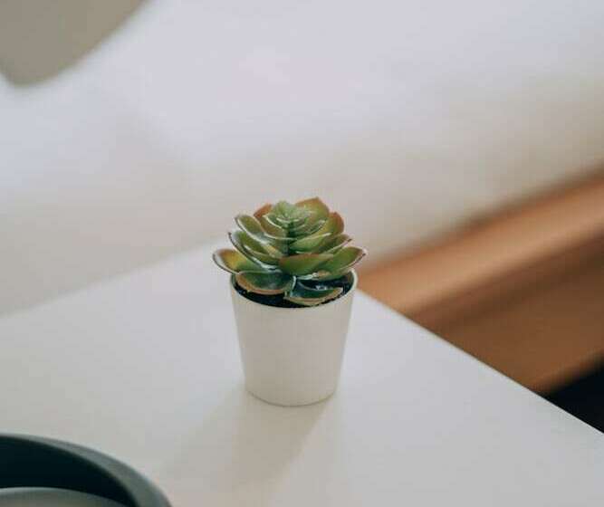 펜션 Green Coast Surf House