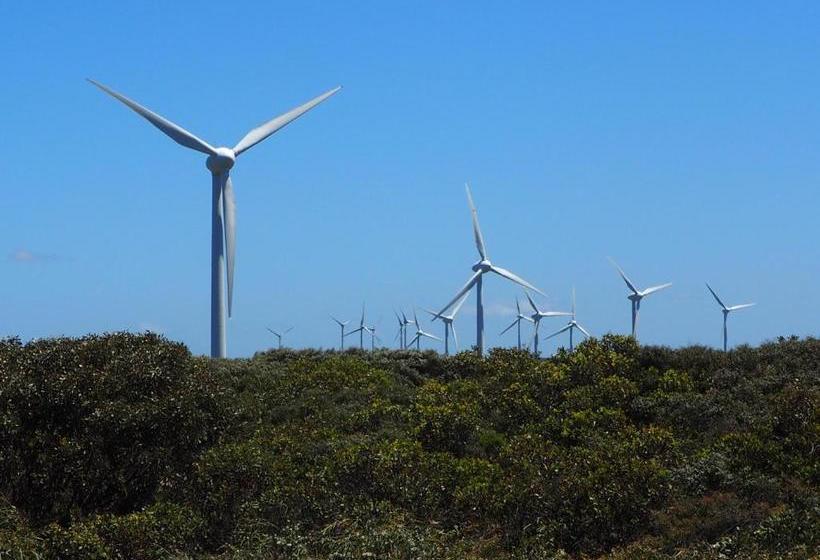 ユースホステル Albany Bayview Lodge Yha