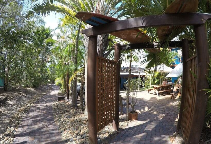 فندق صغير Cool Bananas Backpackers