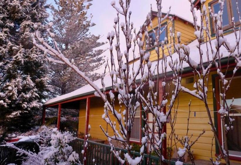 הוסטל No14 Lovel St