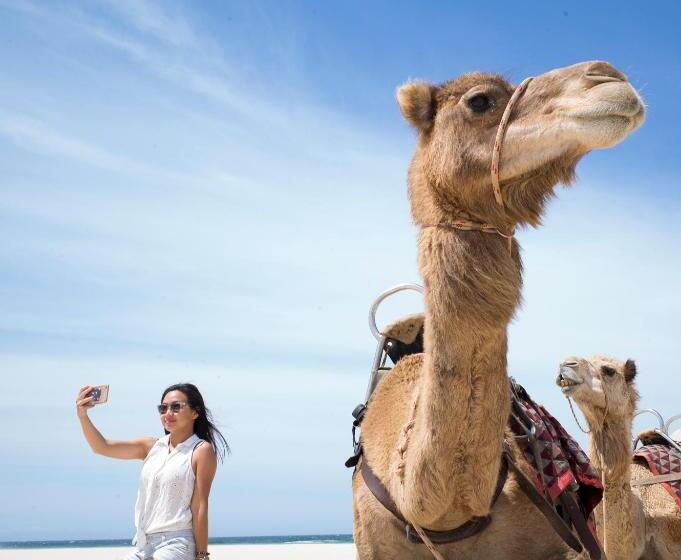 فندق صغير Ozzie Pozzie Backpackers   Port Macquarie Yha