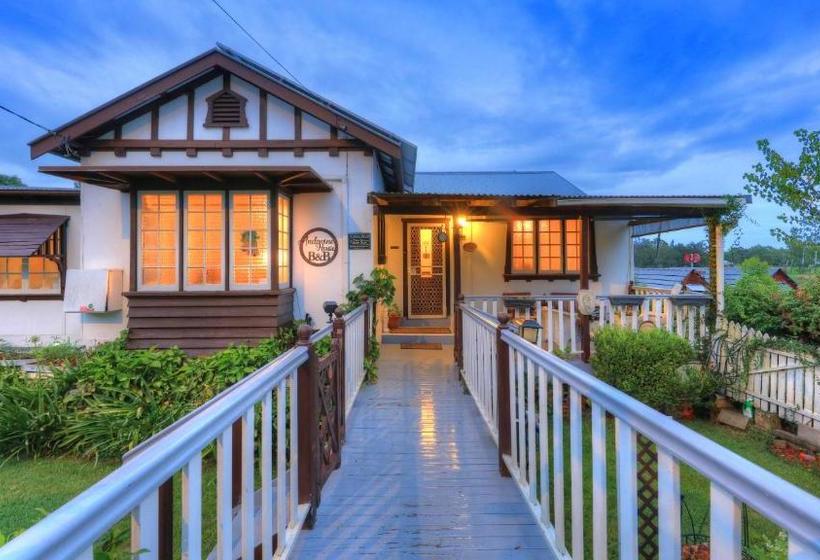 Andavine House   Bed & Breakfast