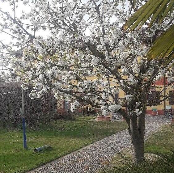 B&b Il Pioppo E La Fonte