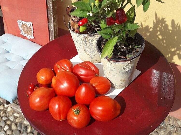 B&b Il Pioppo E La Fonte