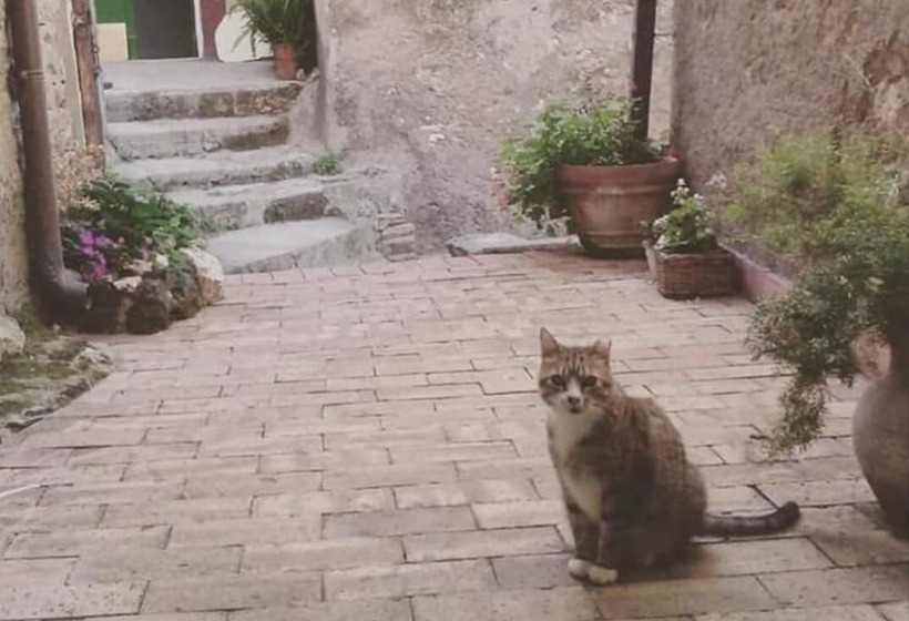 צימר Rupe Antica