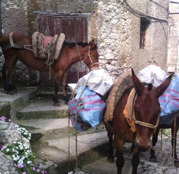 צימר Rupe Antica