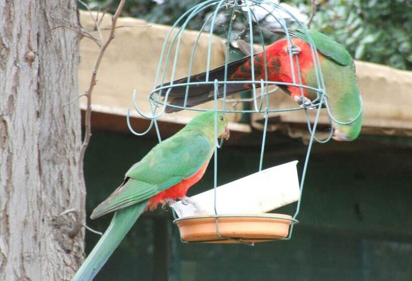 צימר Bulwarra Accommodation   Heritage Studio