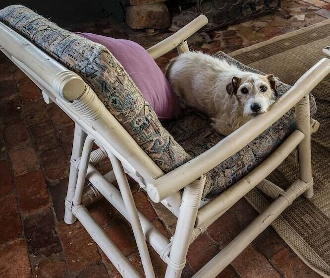 צימר Bulwarra Accommodation   Heritage Studio