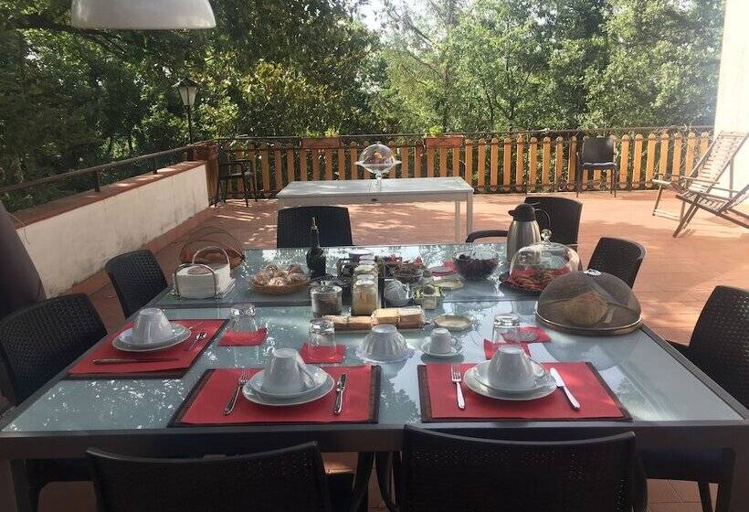 ベッドアンドブレックファースト Domus Verdiana