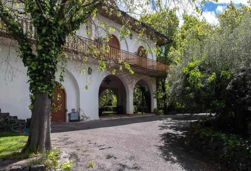 ベッドアンドブレックファースト Domus Verdiana