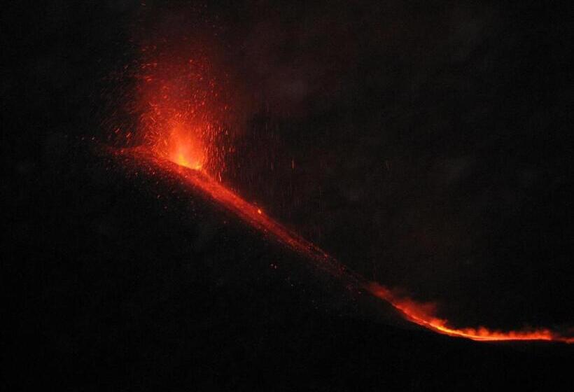 ベッドアンドブレックファースト Domus Verdiana