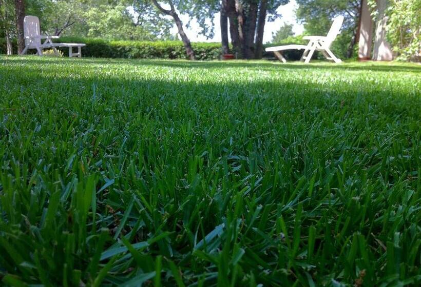 ベッドアンドブレックファースト Domus Verdiana