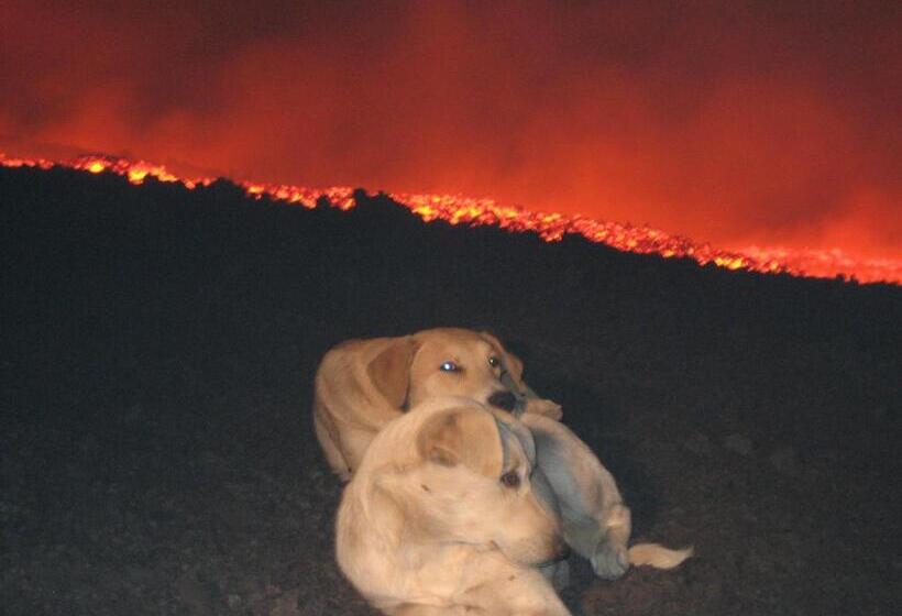 ベッドアンドブレックファースト Domus Verdiana