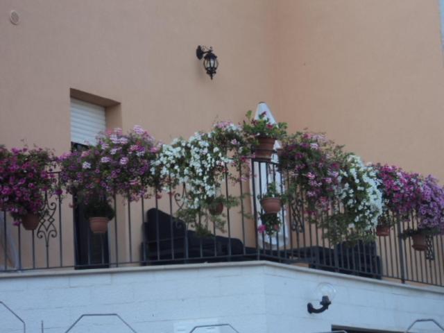 住宿加早餐  La Casa Dei Fiori