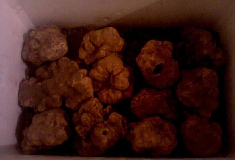 住宿加早餐  Locanda Degli Sfizi