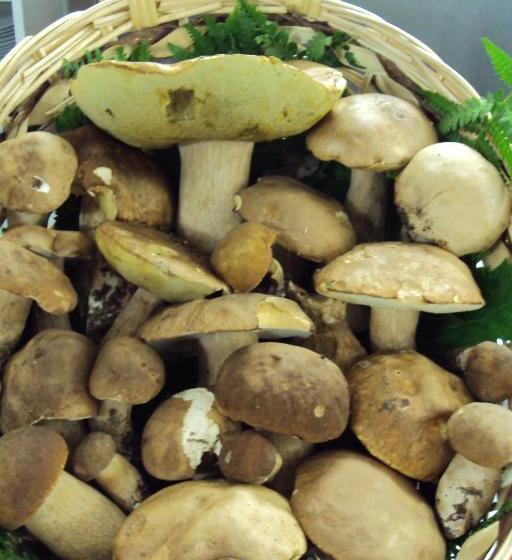 住宿加早餐  Locanda Degli Sfizi