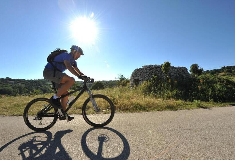 住宿加早餐  Matinèe