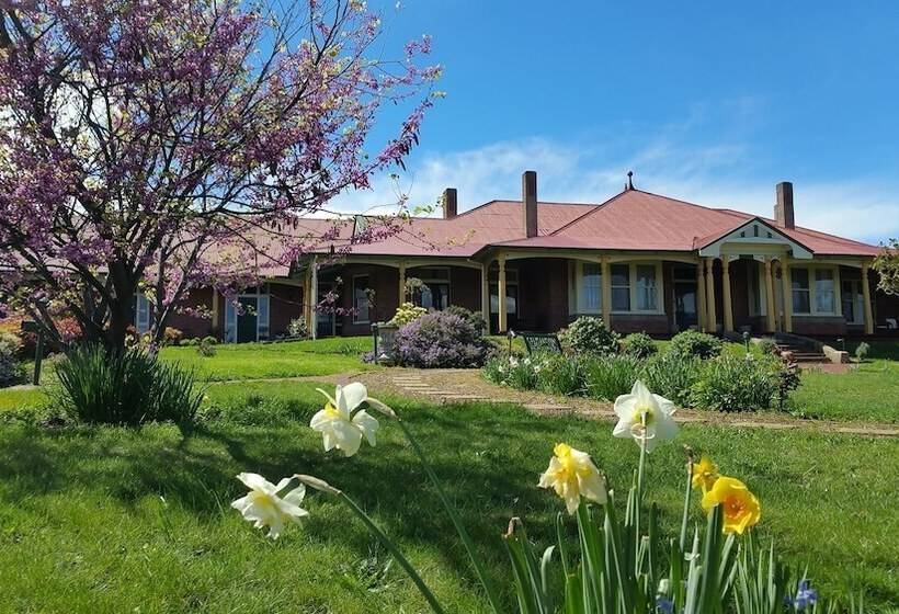 Bed and Breakfast Orana House
