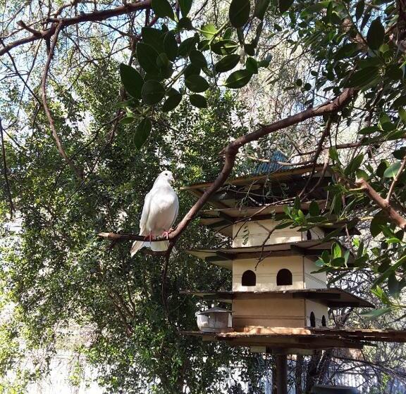 住宿加早餐  The Dove Cote
