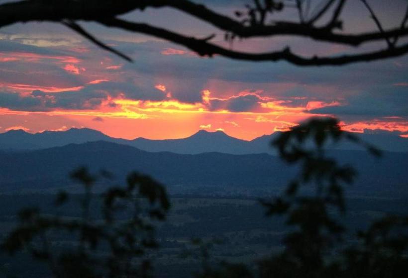 住宿加早餐  The Polish Place