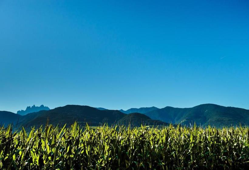 Gasthof Hotel Wöhrmaurer