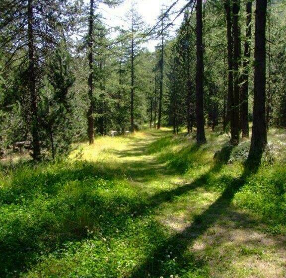 בית מלון כפרי Albergo Castello Da Bonino
