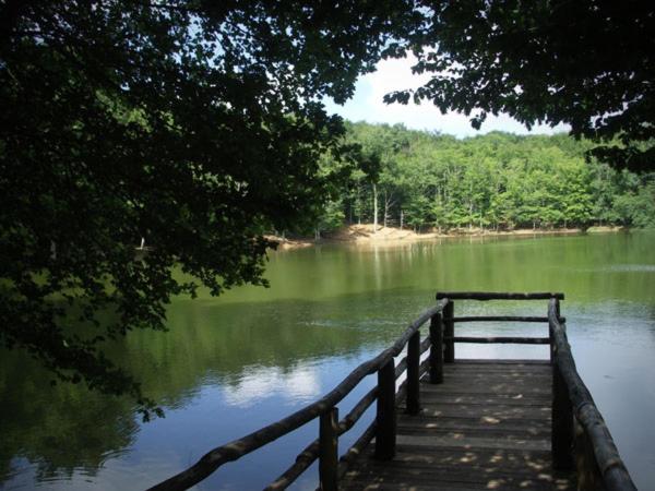 ホテル Albergo Villa Bianca