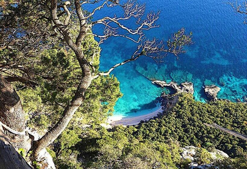 בית מלון כפרי Bia Maore