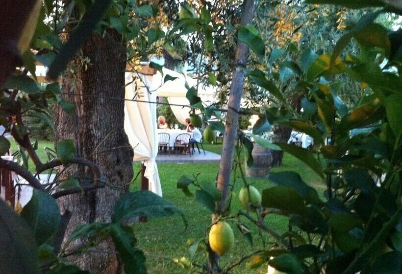 בית מלון כפרי Da Filiè