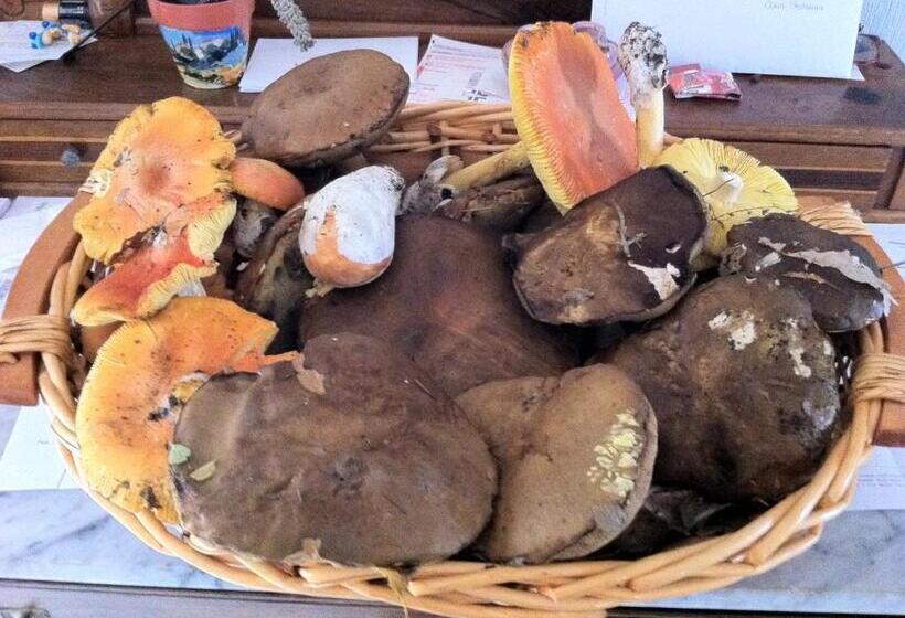 בית מלון כפרי Dei Conti