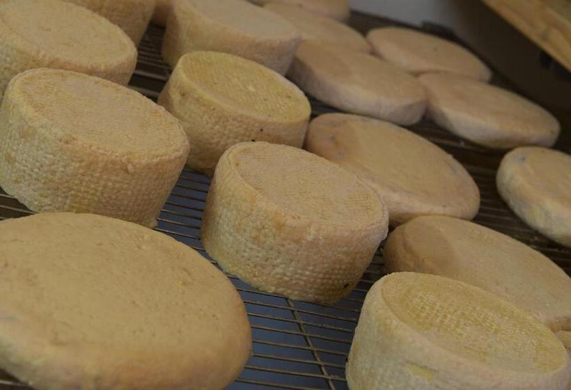 هتل Gallo Cedrone