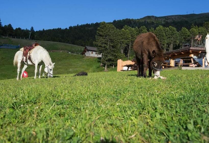 هتل Gallo Cedrone