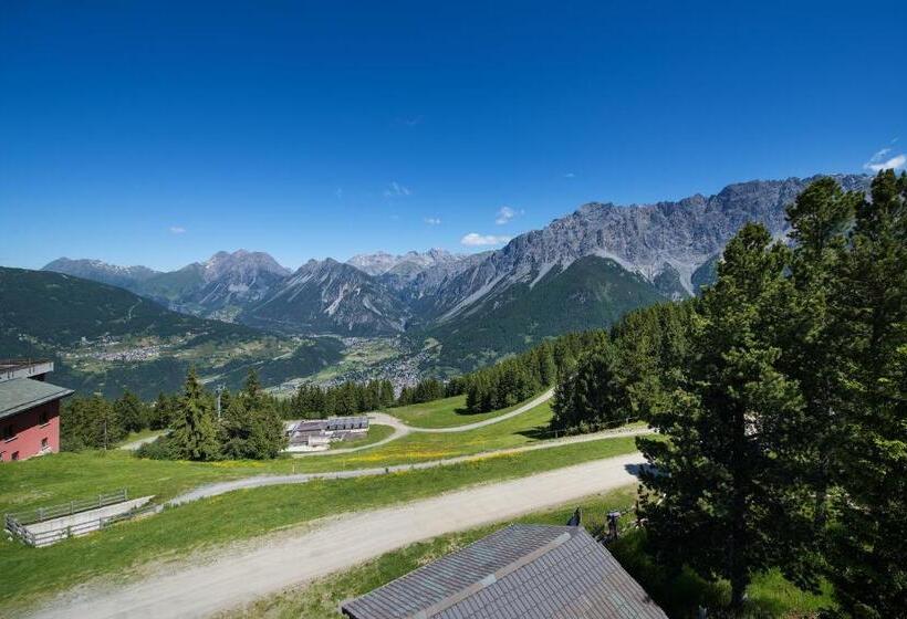 هتل Gallo Cedrone