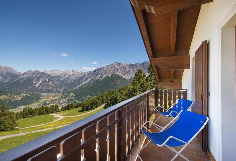 فندق Gallo Cedrone