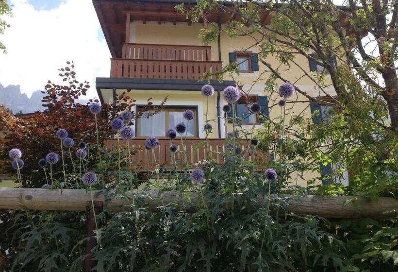 בית מלון כפרי Jolanda