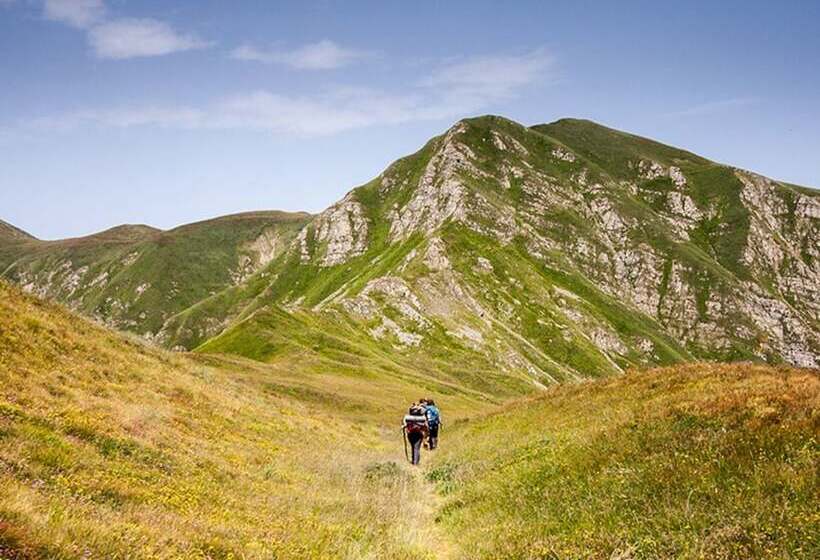 Отель Locanda Zita