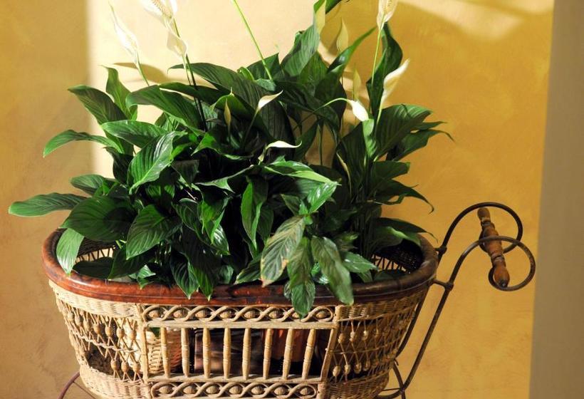 민박 La Meridiana Relais