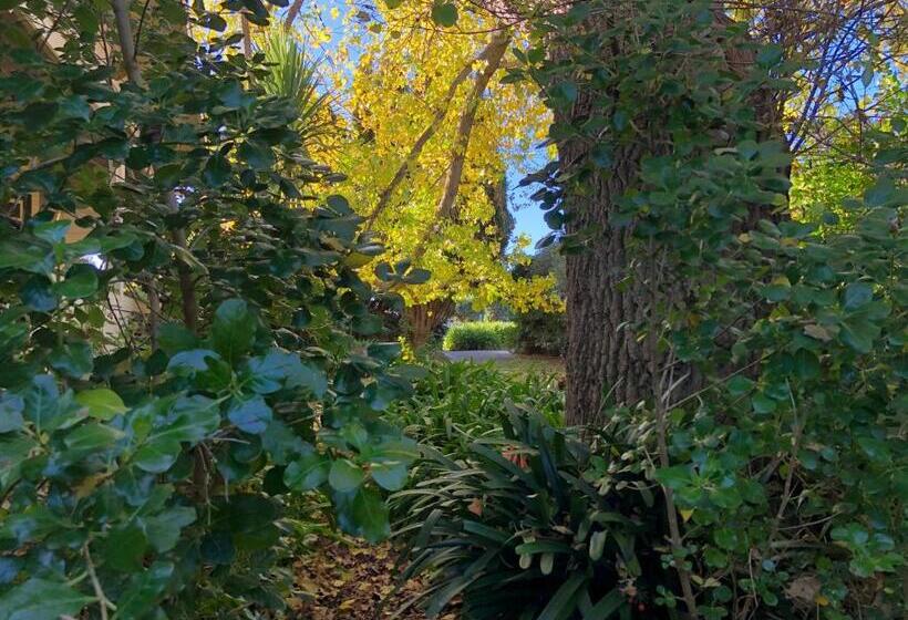 Lorelei Bed & Breakfast