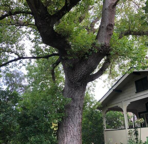 Lorelei Bed & Breakfast