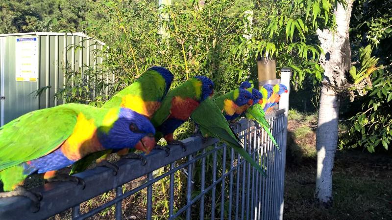 Magnetic Island Bed And Breakfast
