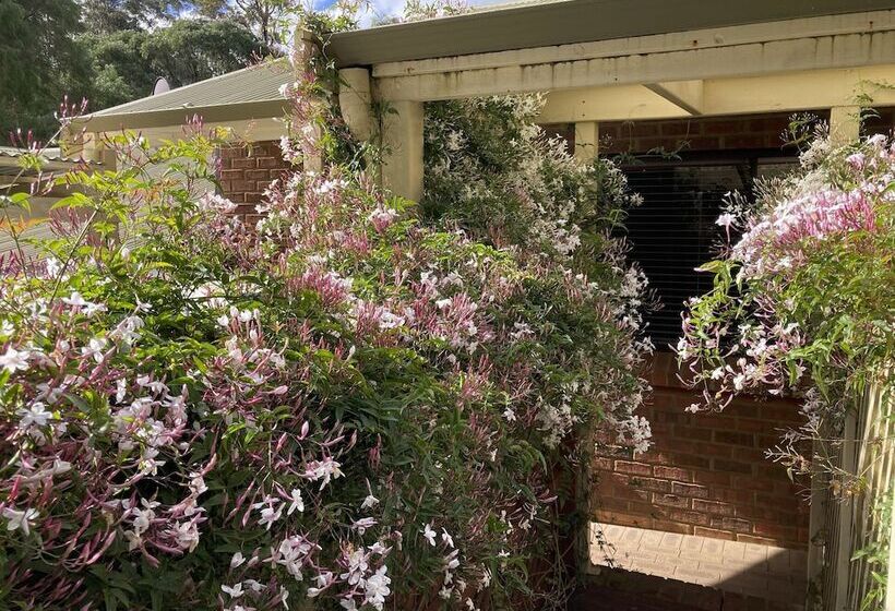 Edge Of The Forest Motel