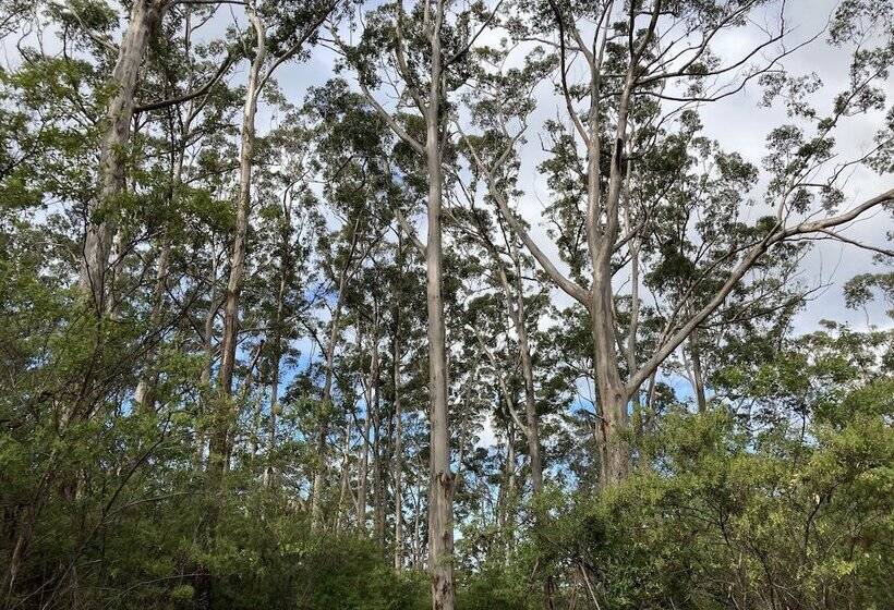 Edge Of The Forest Motel