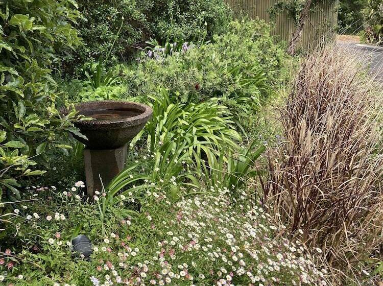 Edge Of The Forest Motel