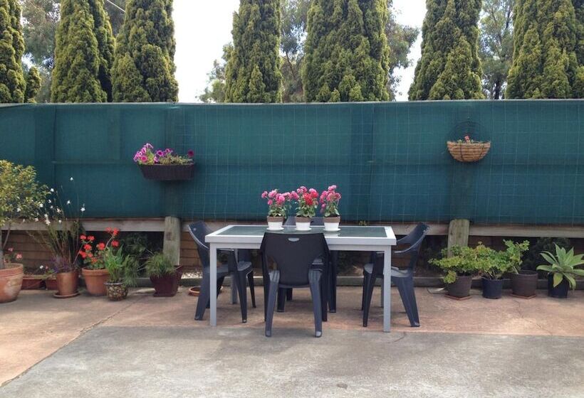 モーテル Rippleside Park Motor Inn