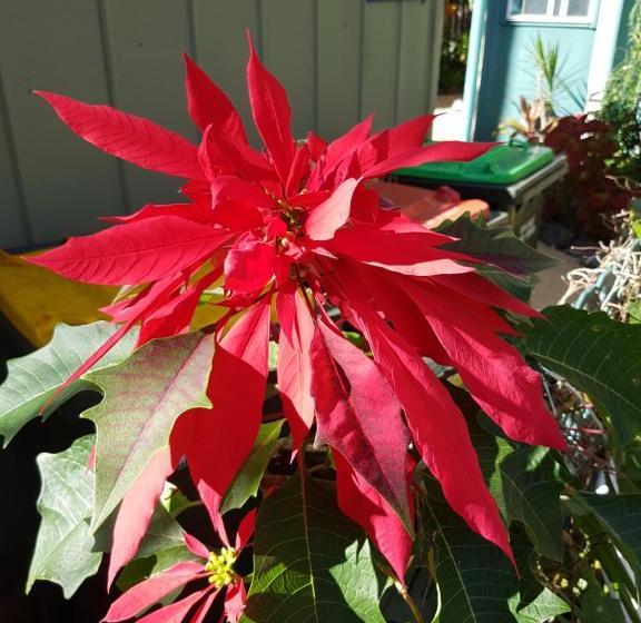 Мотель Tropic Oasis