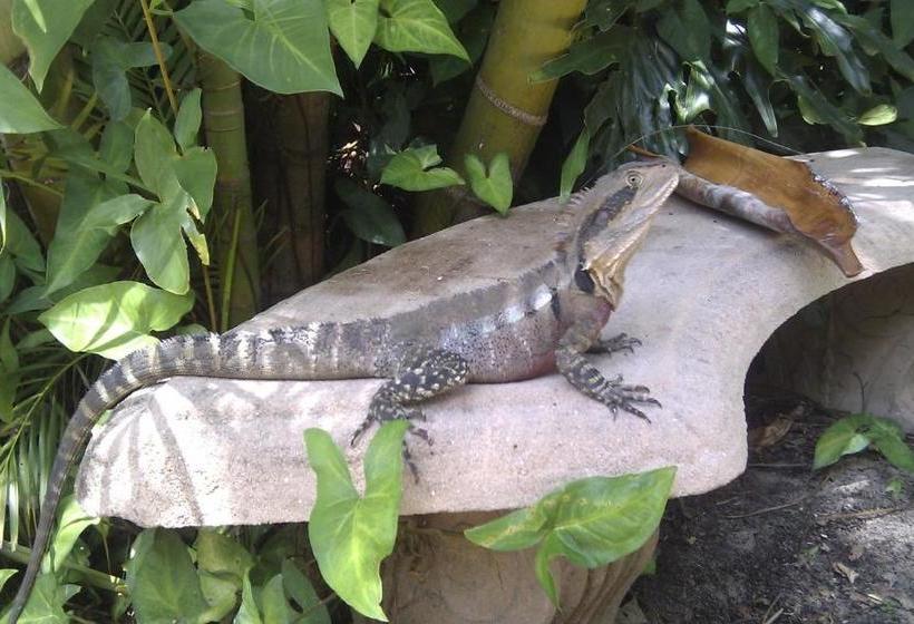 Мотель Tropic Oasis